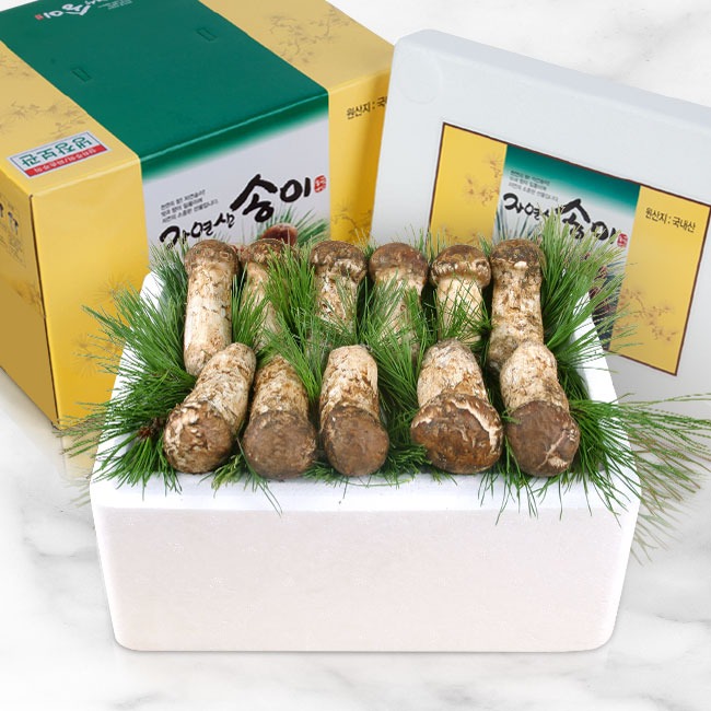 국내산 자연송이버섯 (특상품1) 500g