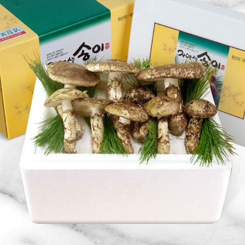 국내산 냉동송이버섯 (등외품) 1kg